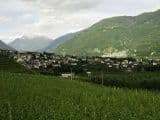 Svizzera: Il trenino del Bernina
