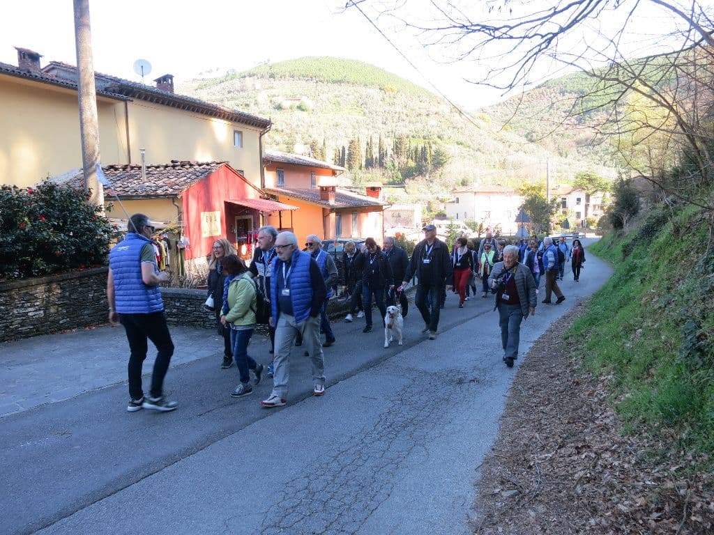 Lucca, le ville e le camelie